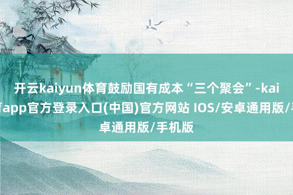 开云kaiyun体育鼓励国有成本“三个聚会”-kai云体育app官方登录入口(中国)官方网站 IOS/安卓通用版/手机版