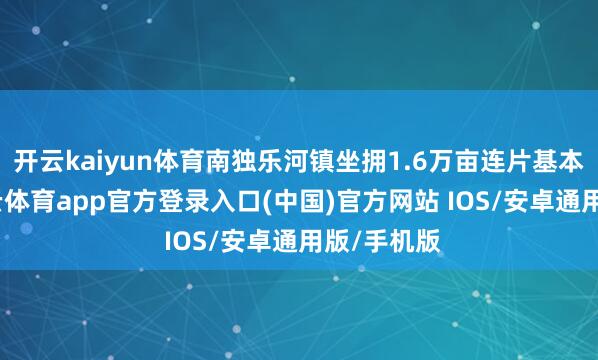 开云kaiyun体育南独乐河镇坐拥1.6万亩连片基本农田-kai云体育app官方登录入口(中国)官方网站 IOS/安卓通用版/手机版