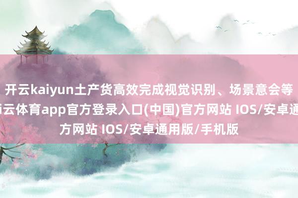 开云kaiyun土产货高效完成视觉识别、场景意会等计较任务-kai云体育app官方登录入口(中国)官方网站 IOS/安卓通用版/手机版